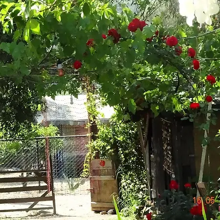 Nar Pensión Olympos