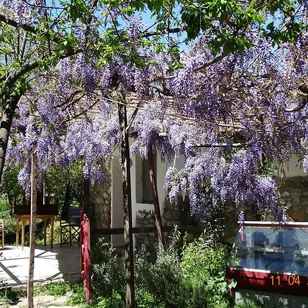 Pensión Nar Olympos
