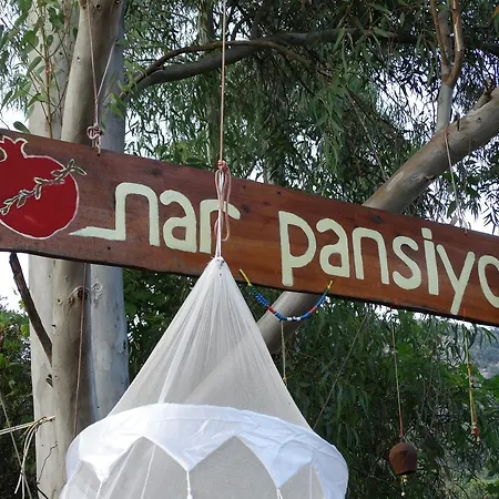 Pensión Nar *