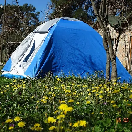 Pensión Nar Olympos